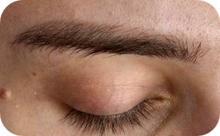 Cinnamon Brown